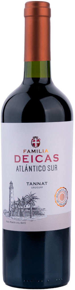 botella