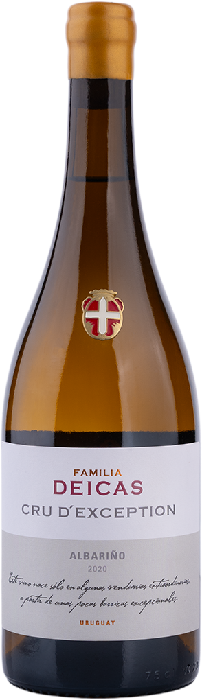 botella