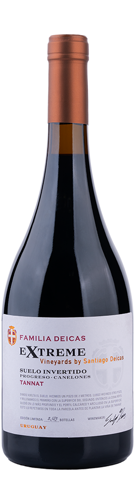 botella