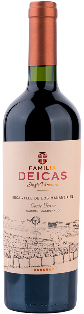 botella