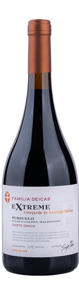 botella