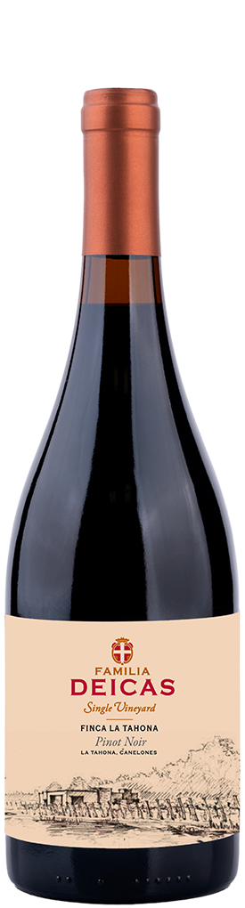 botella