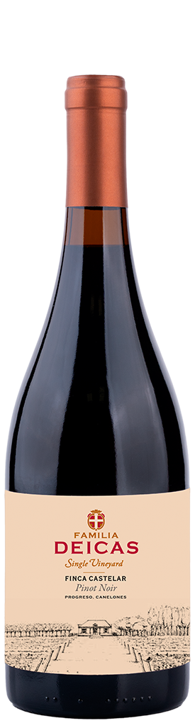 botella