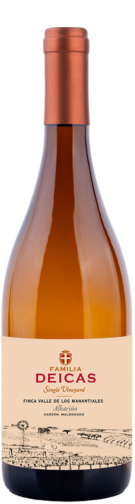 botella
